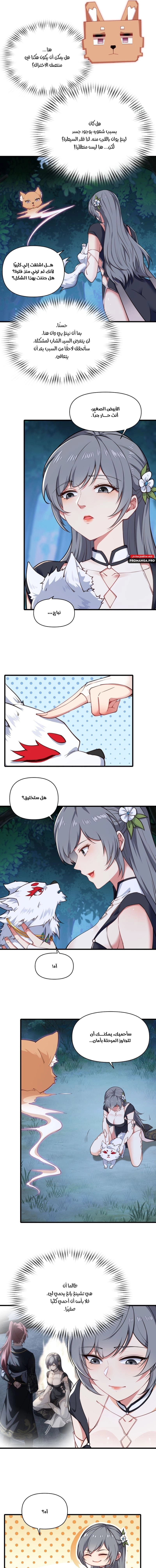 Chapter Image 7