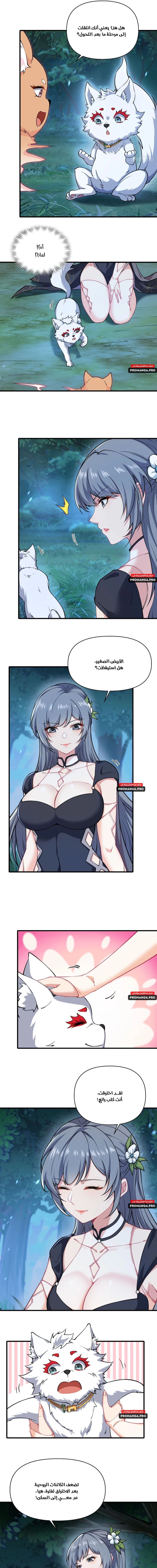 Chapter Image 3