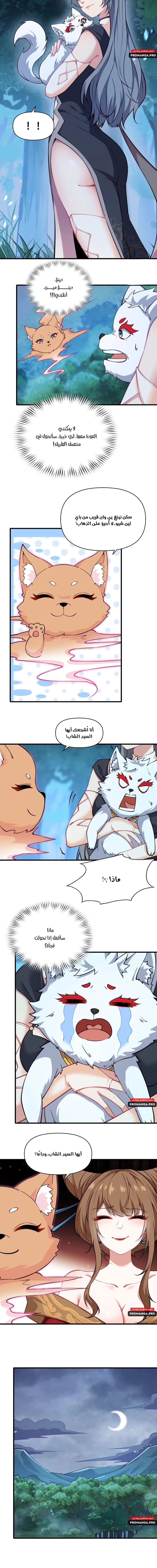Chapter Image 4