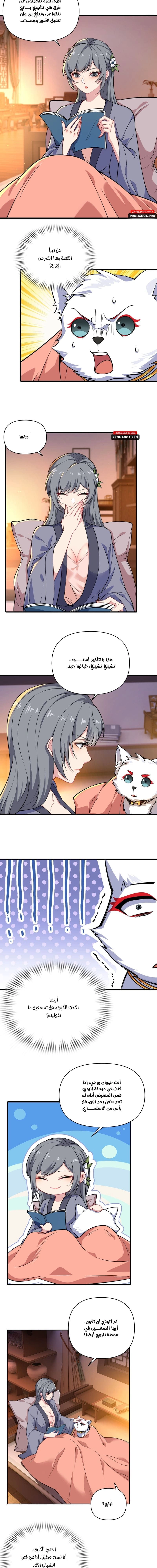 Chapter Image 2