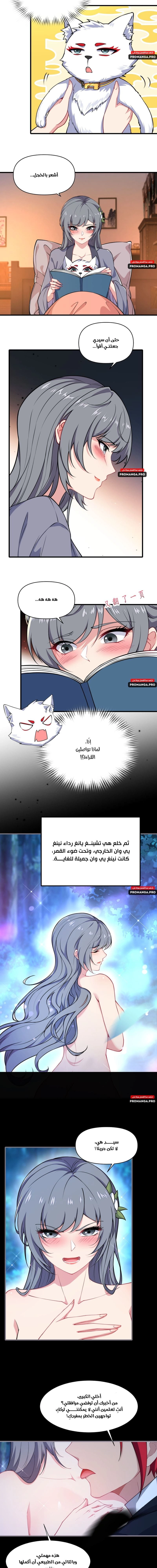Chapter Image 5