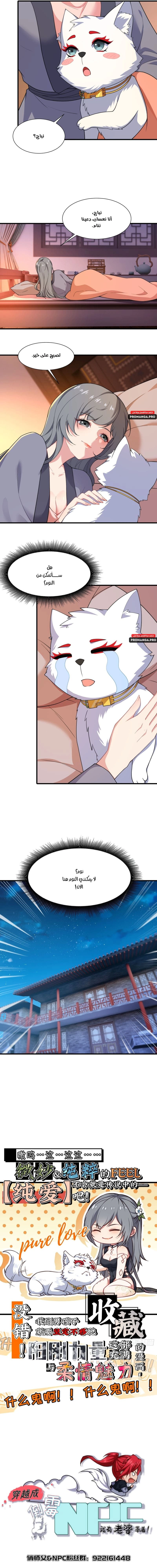 Chapter Image 7