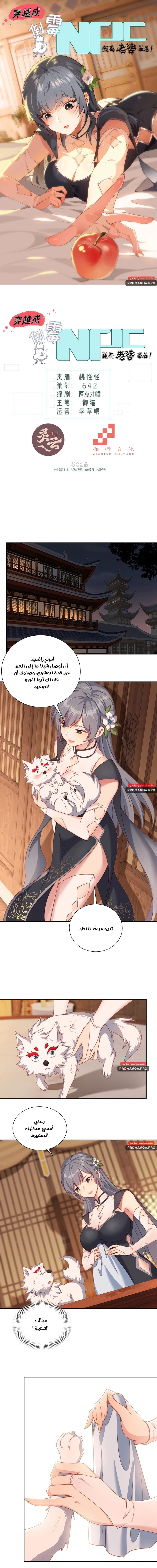 Chapter Image 1