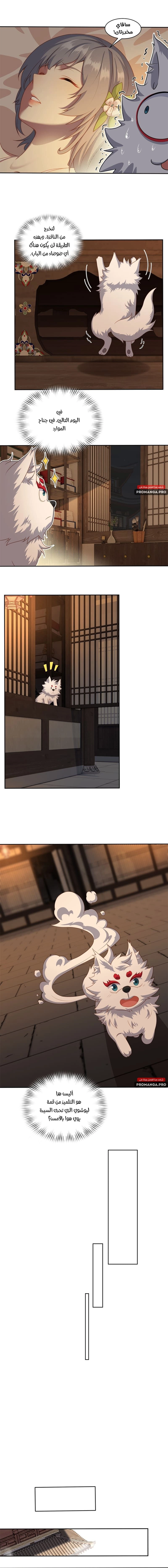 Chapter Image 6