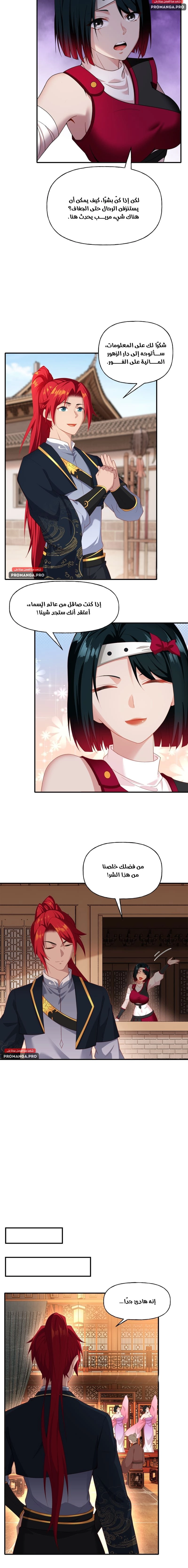 Chapter Image 6