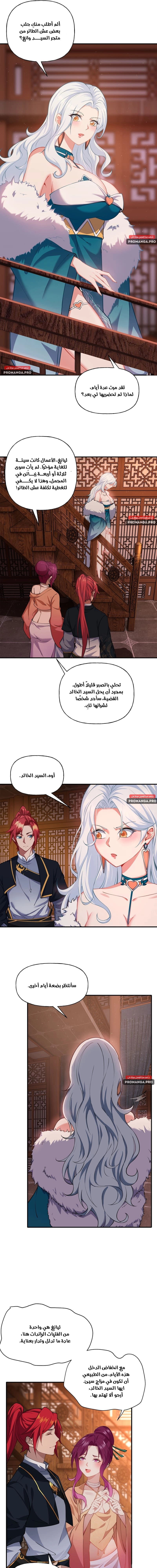 Chapter Image 11