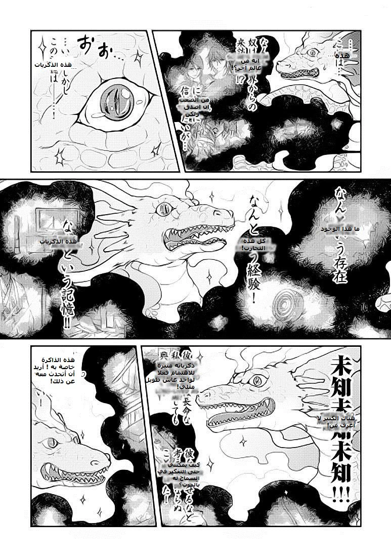 Chapter Image 19