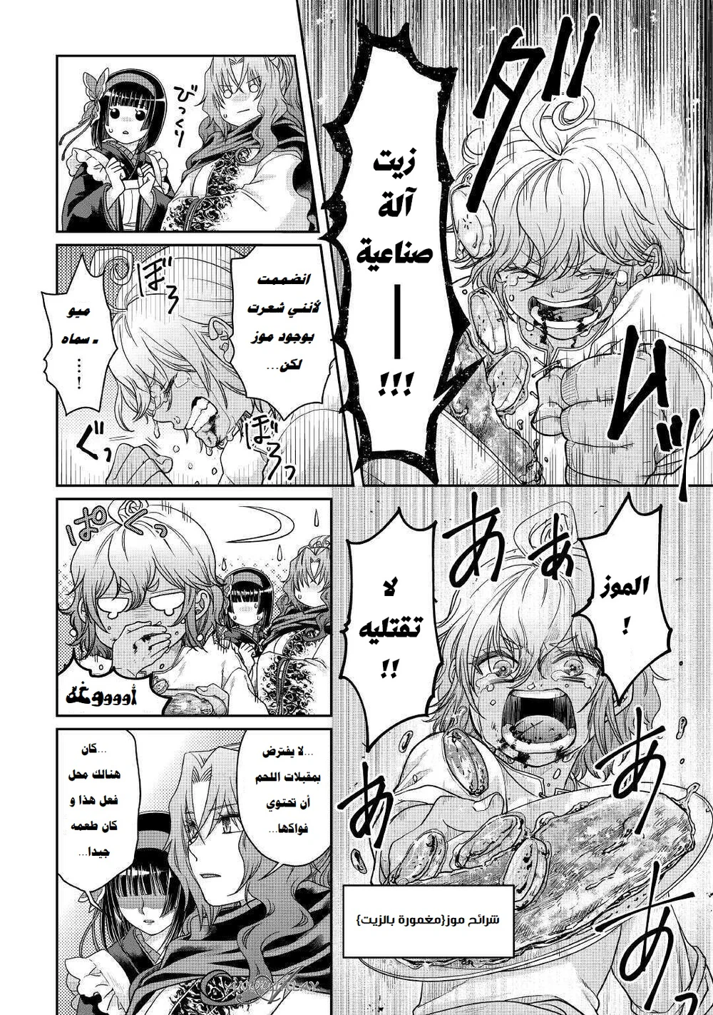 Chapter Image 13