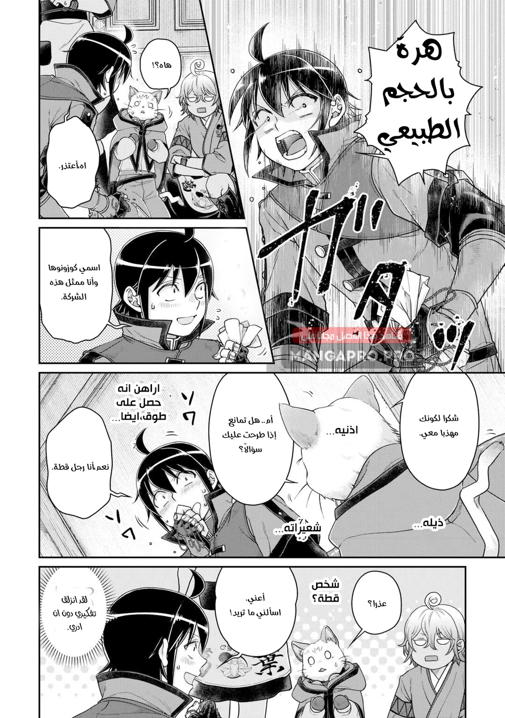 Chapter Image 10