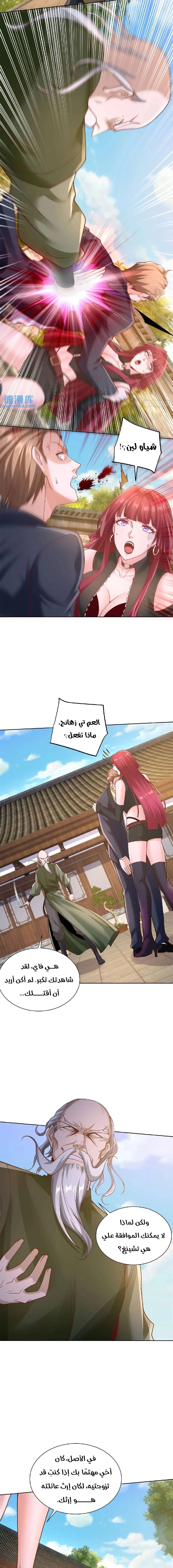 Chapter Image 5