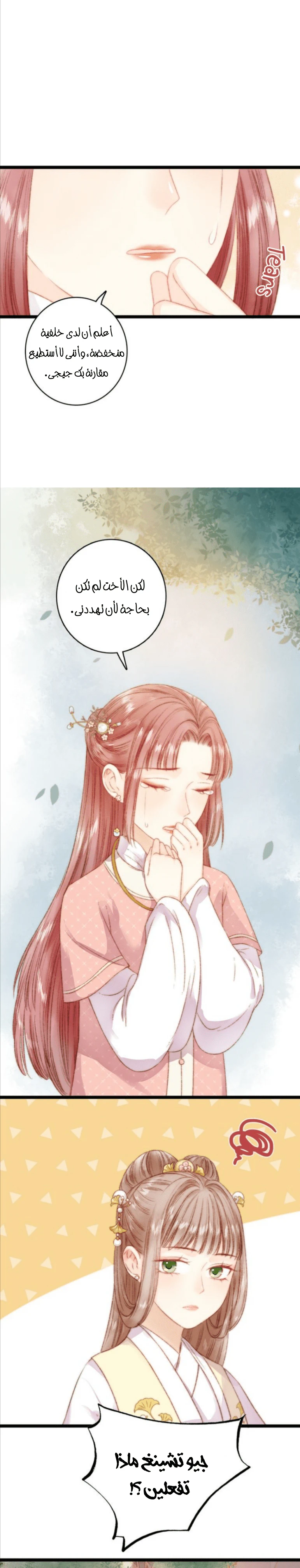 Chapter Image 12