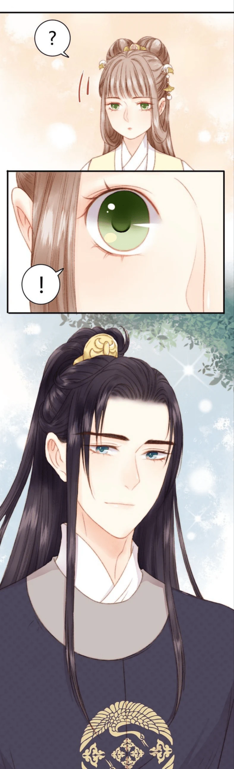 Chapter Image 5