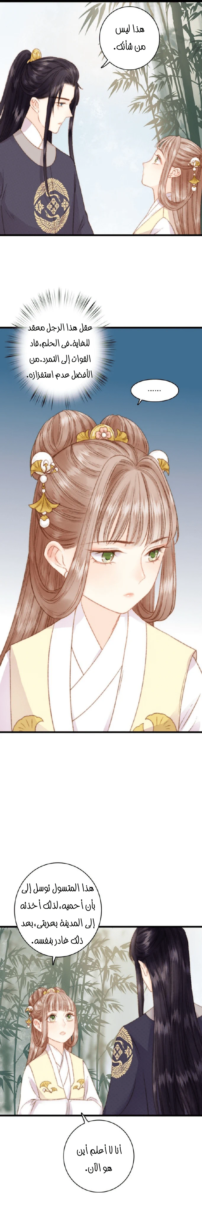 Chapter Image 11