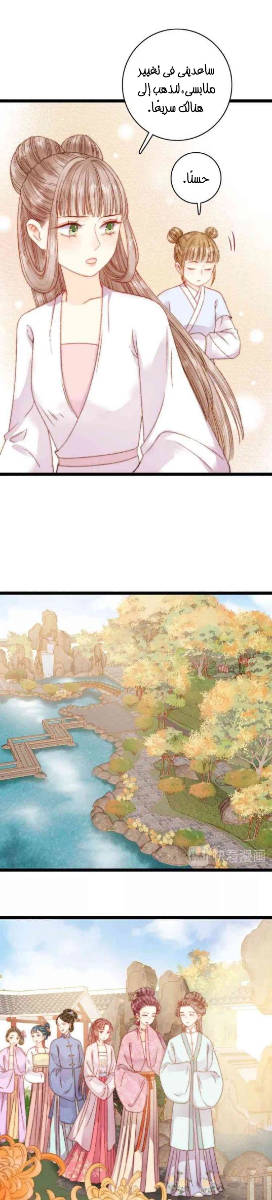 Chapter Image 11