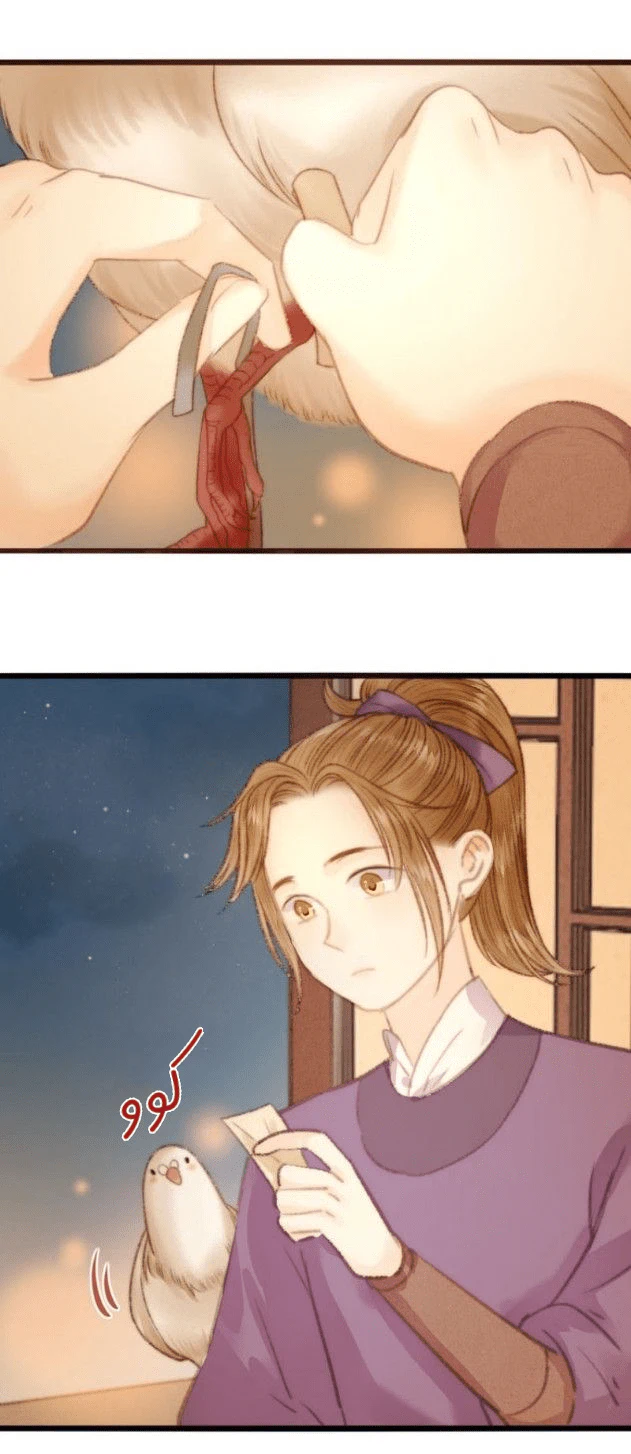 Chapter Image 6