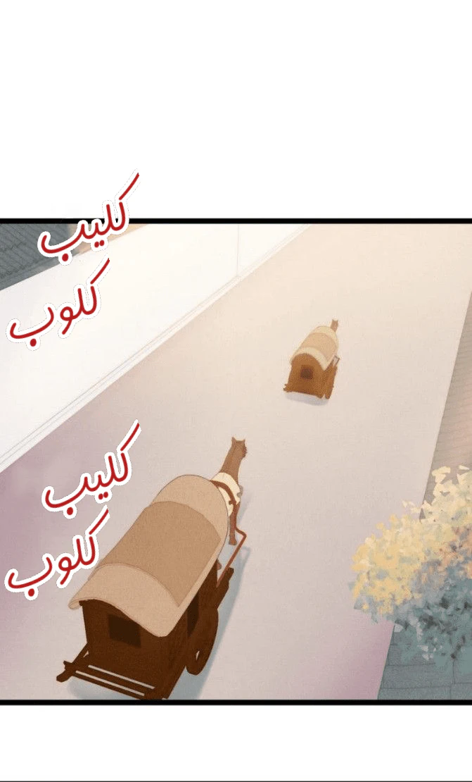Chapter Image 9