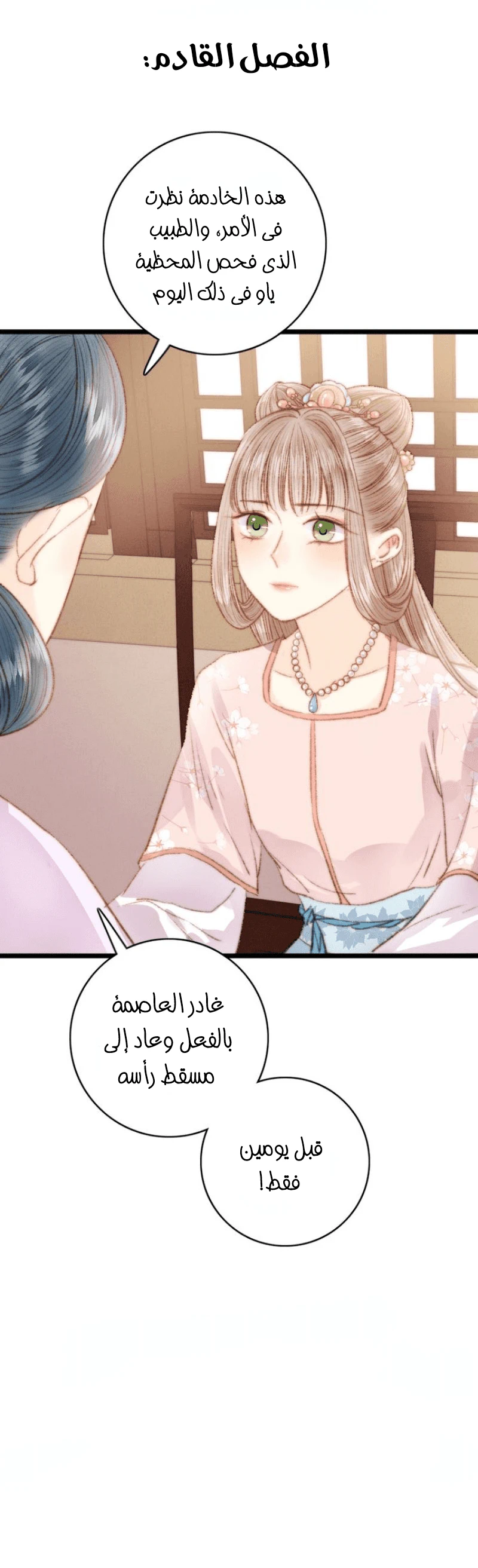 Chapter Image 14