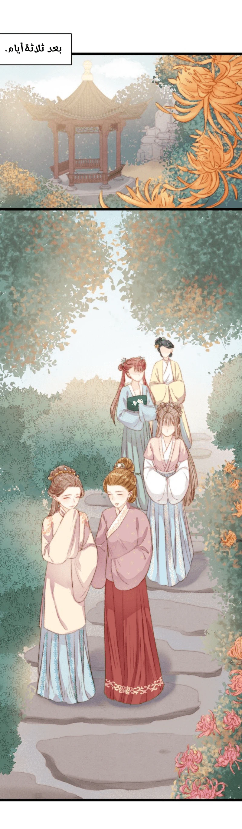 Chapter Image 12