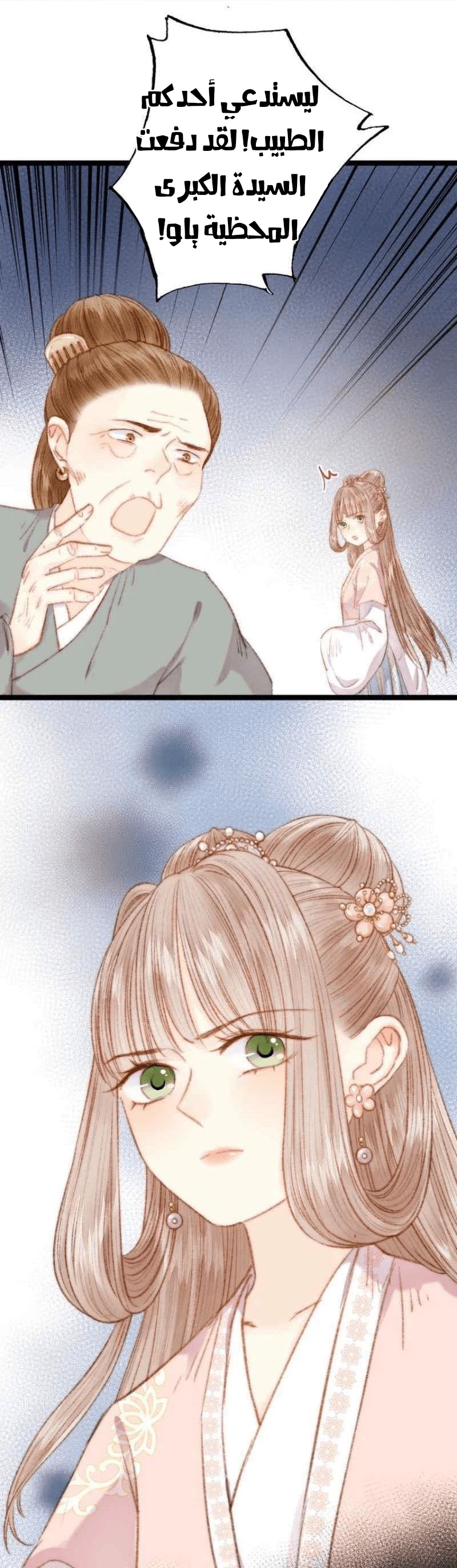 Chapter Image 12
