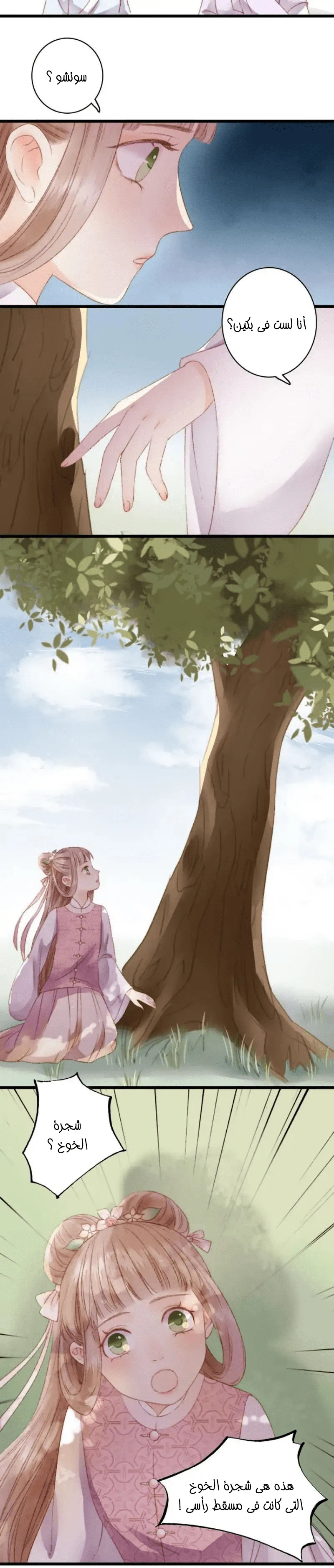 Chapter Image 7