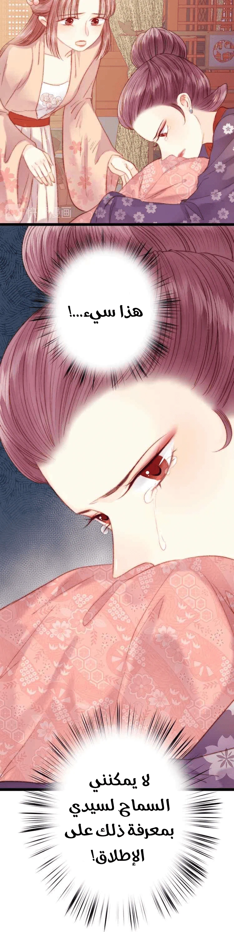 Chapter Image 3