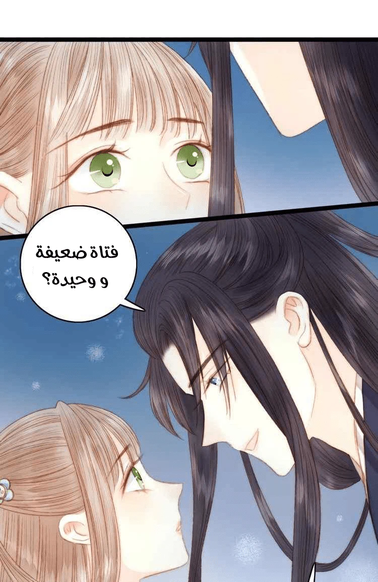 Chapter Image 16