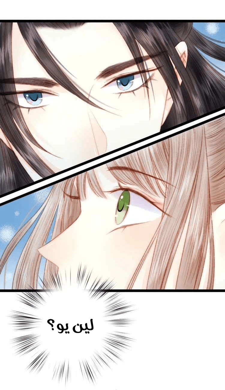 Chapter Image 29