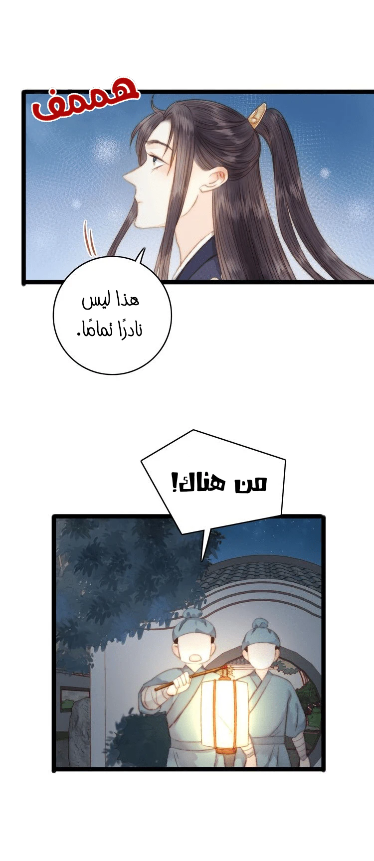 Chapter Image 11