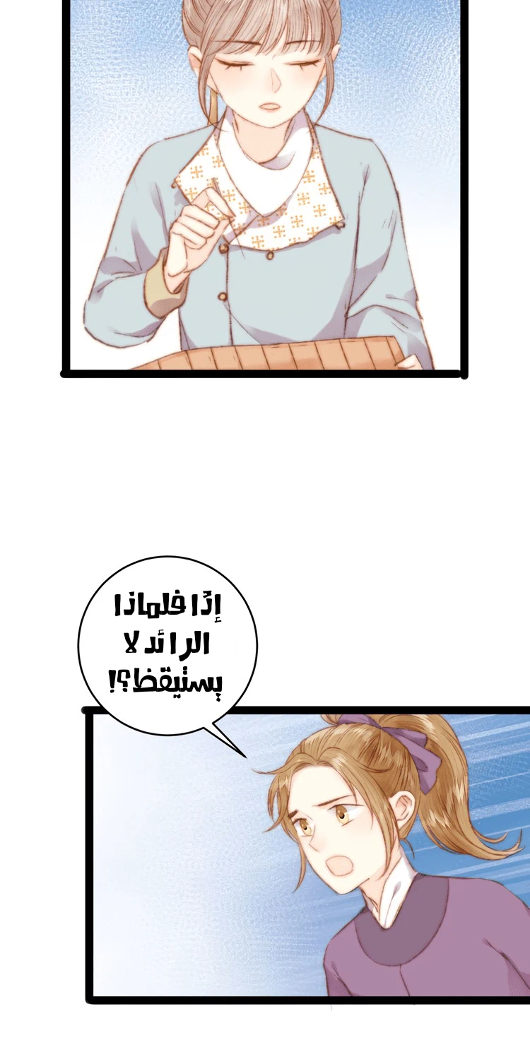 Chapter Image 3