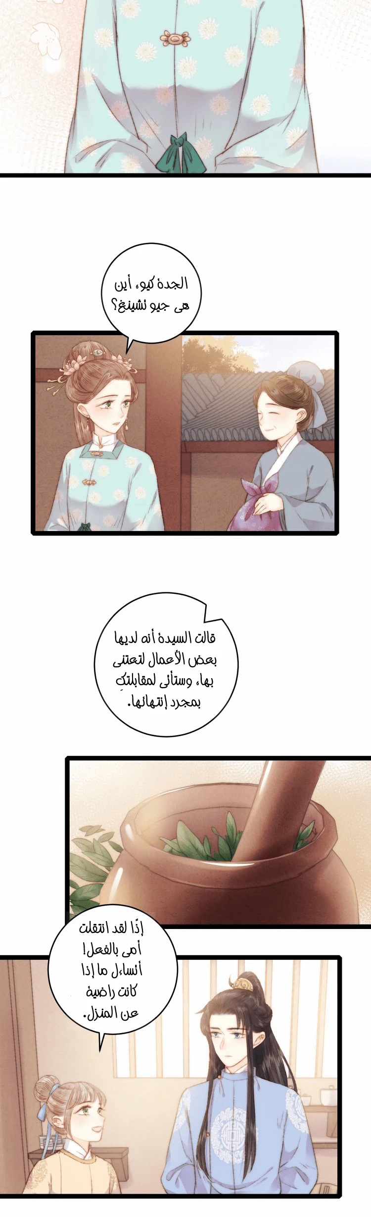 Chapter Image 4
