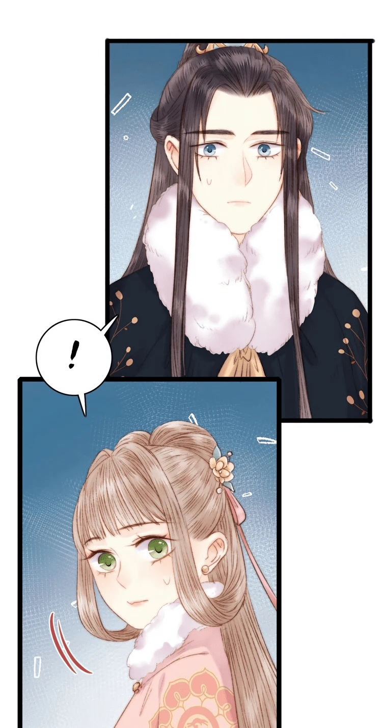 Chapter Image 16