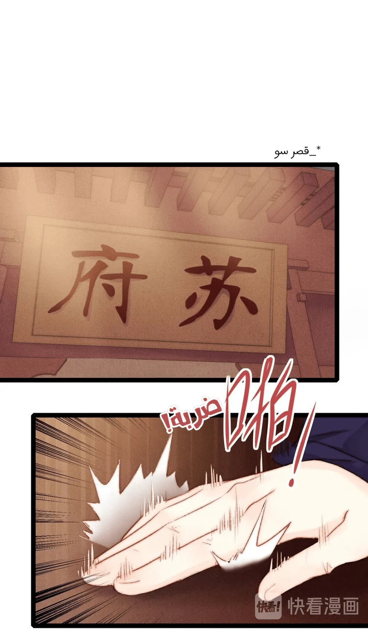 Chapter Image 24