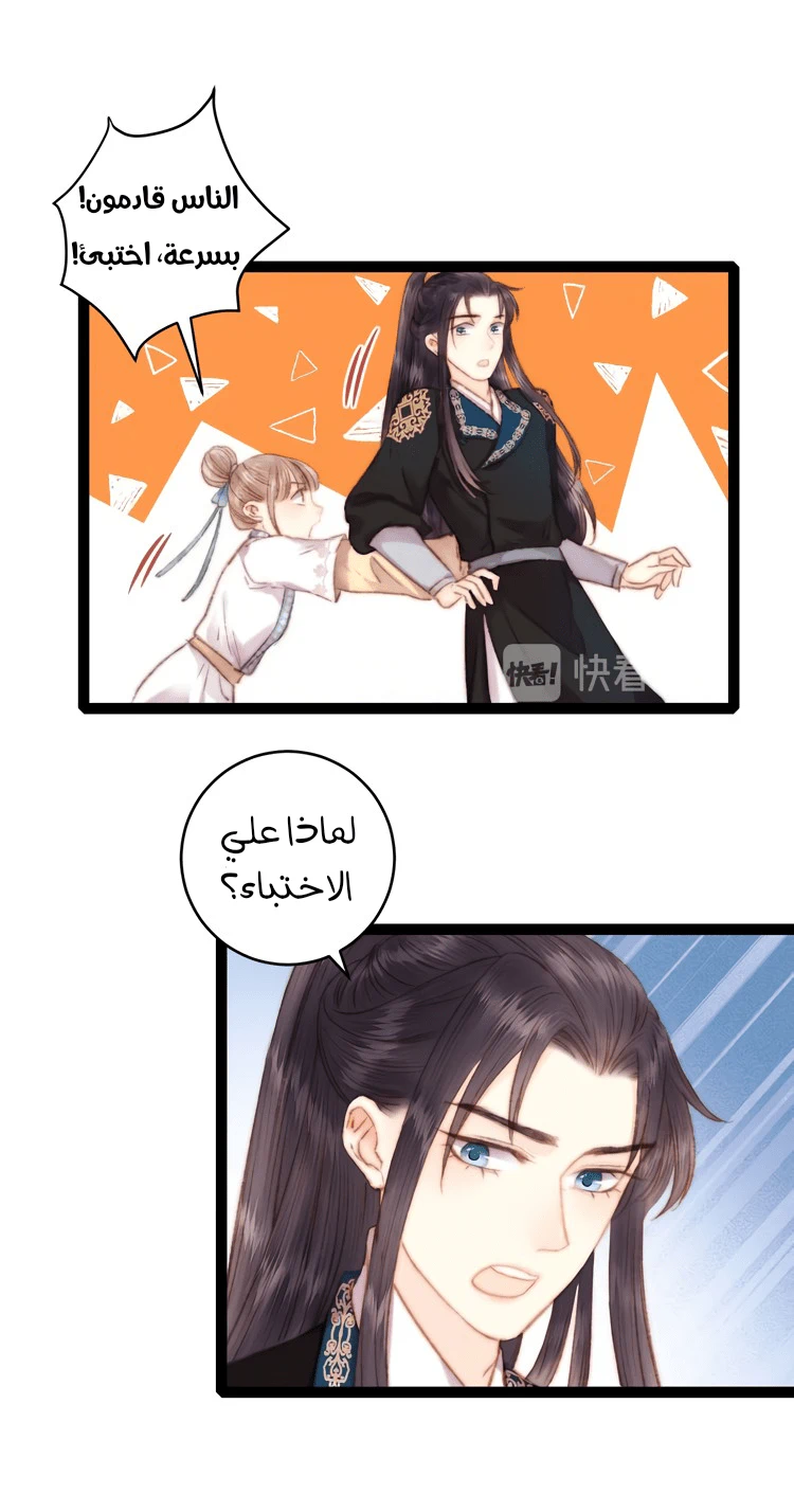 Chapter Image 15