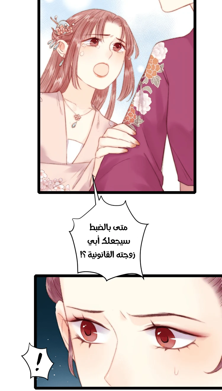 Chapter Image 7