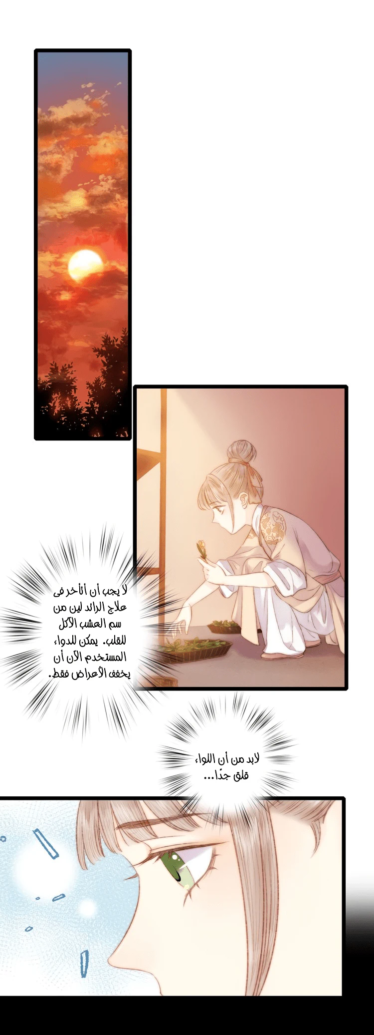 Chapter Image 31