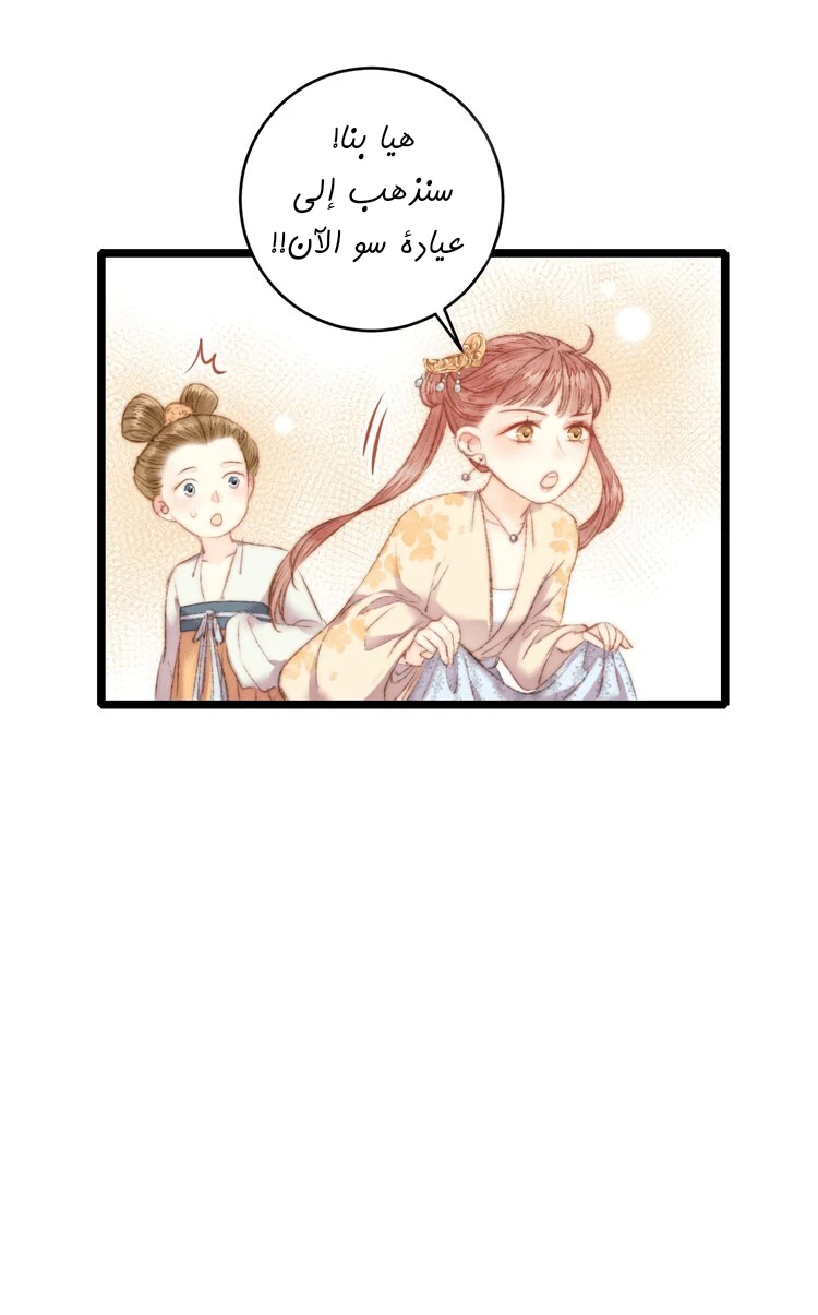 Chapter Image 20