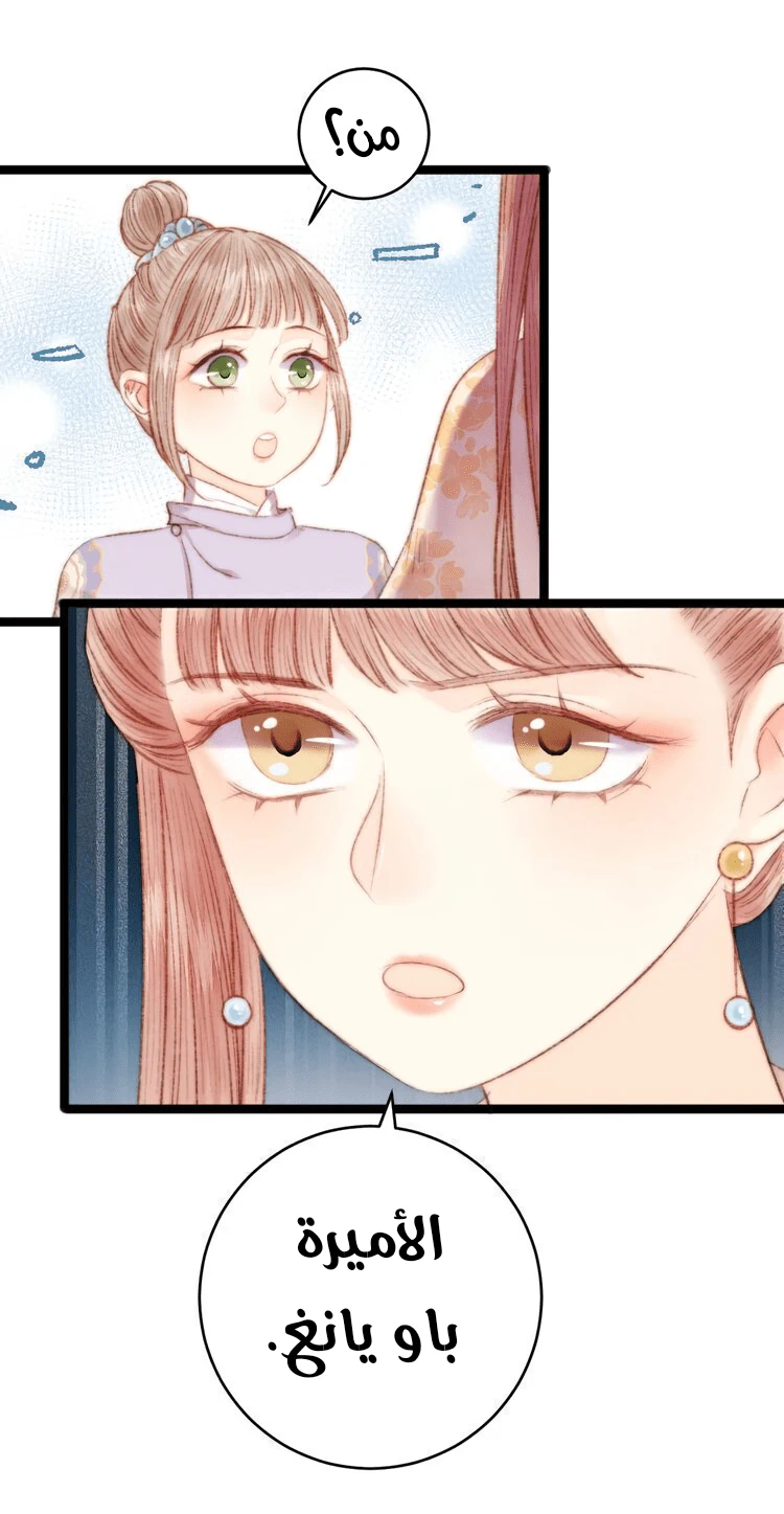 Chapter Image 29
