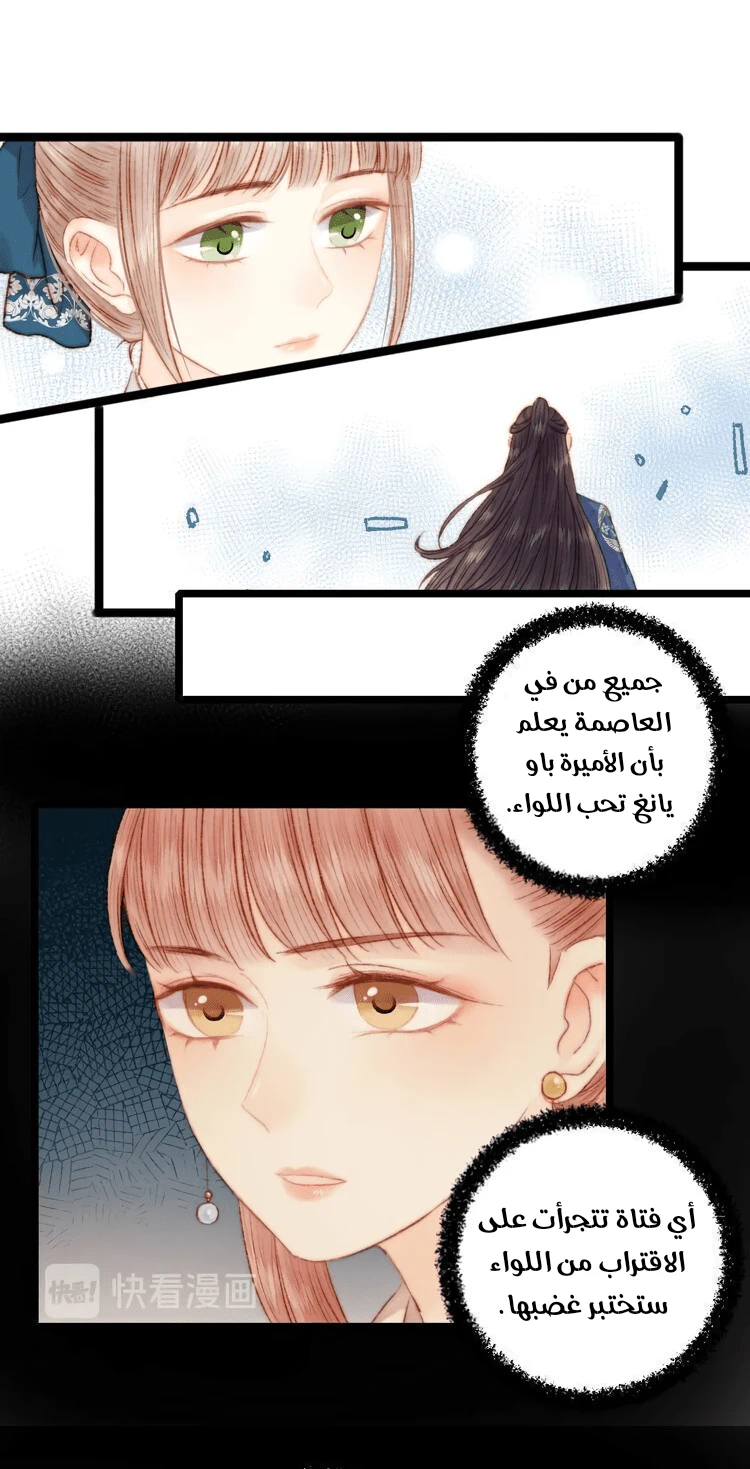 Chapter Image 19