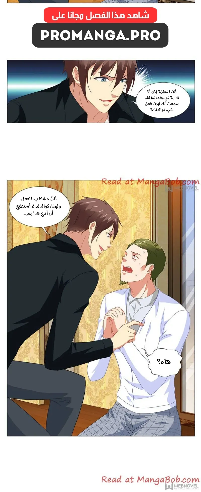 Chapter Image 4