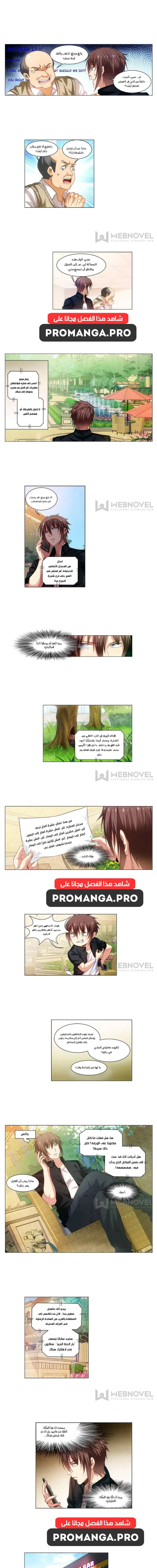 Chapter Image 1
