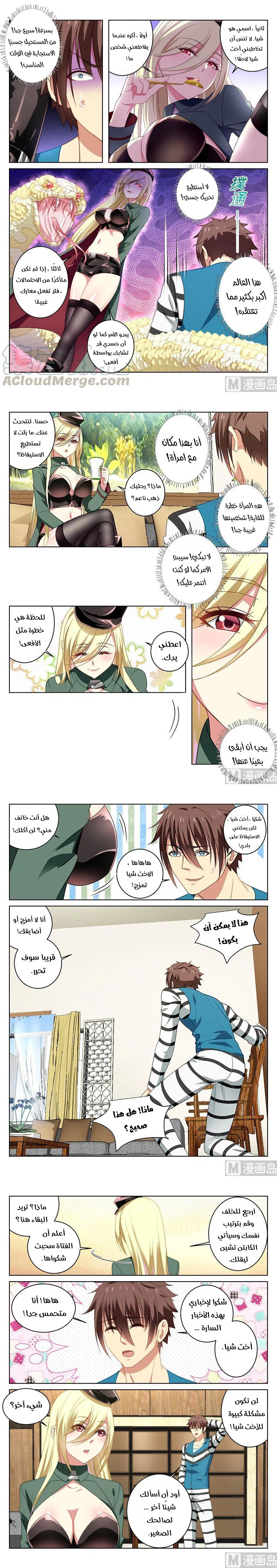 Chapter Image 1
