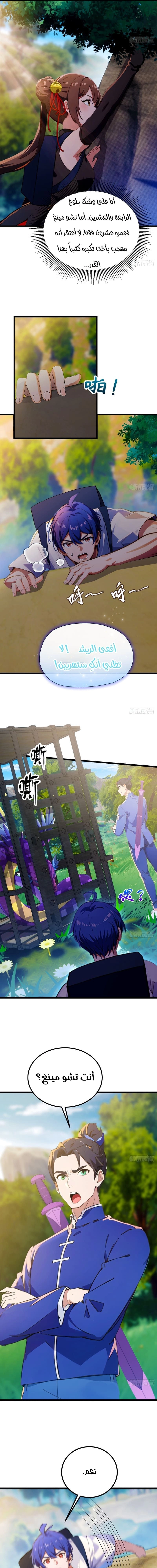 Chapter Image 4