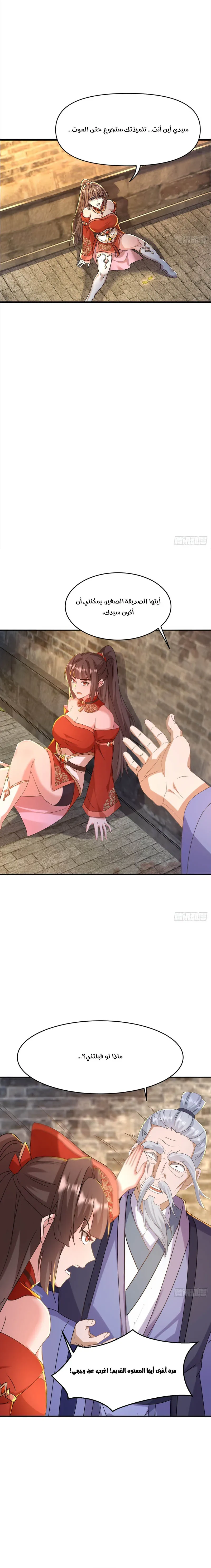 Chapter Image 4