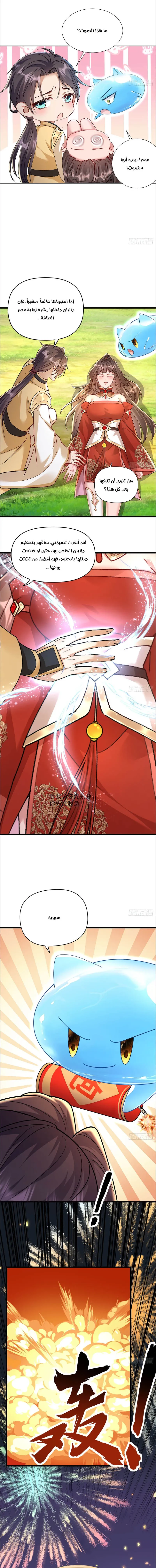 Chapter Image 5