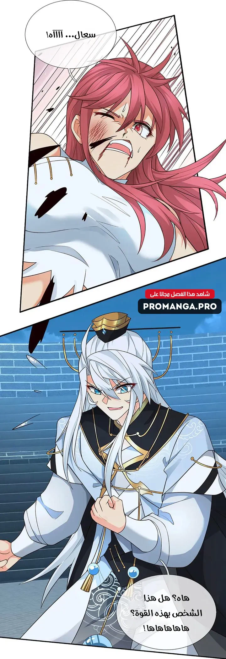 Chapter Image 5
