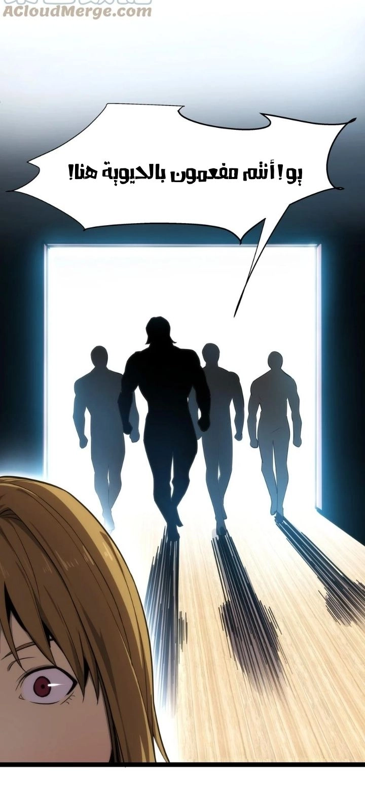 Chapter Image 4