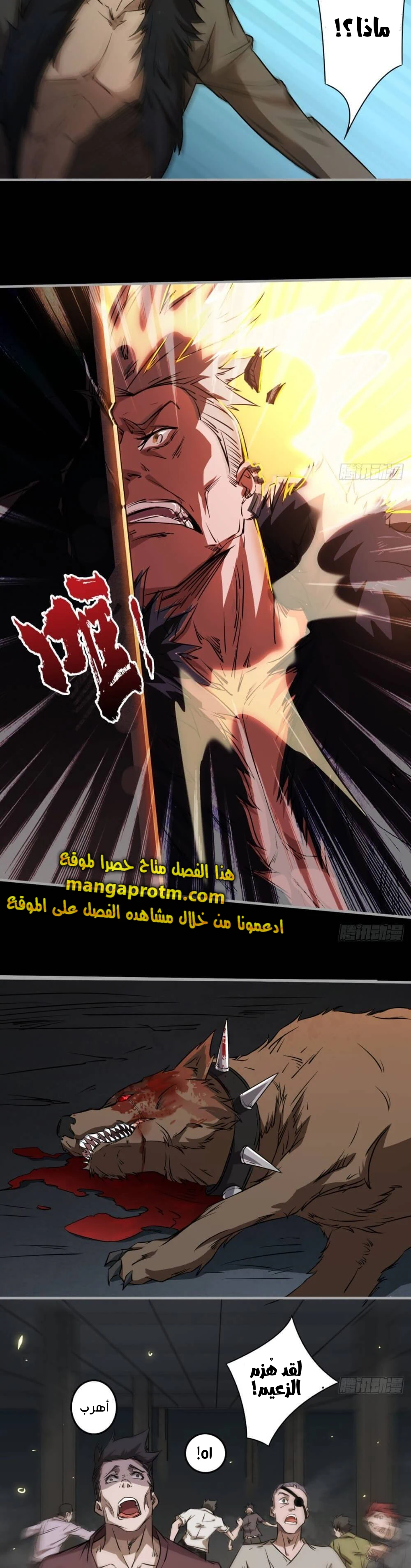 Chapter Image 20