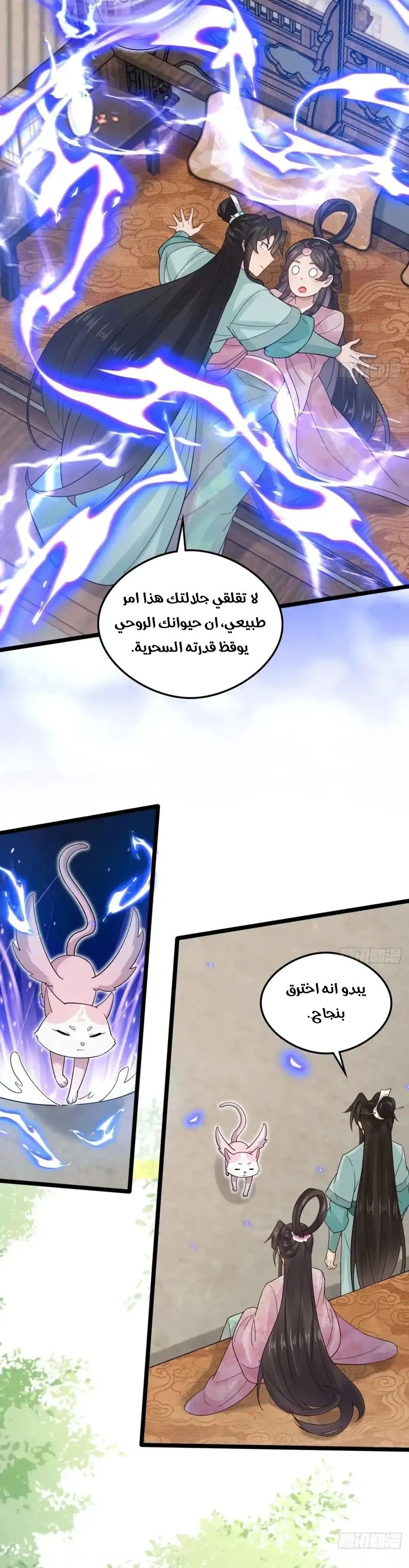 Chapter Image 4