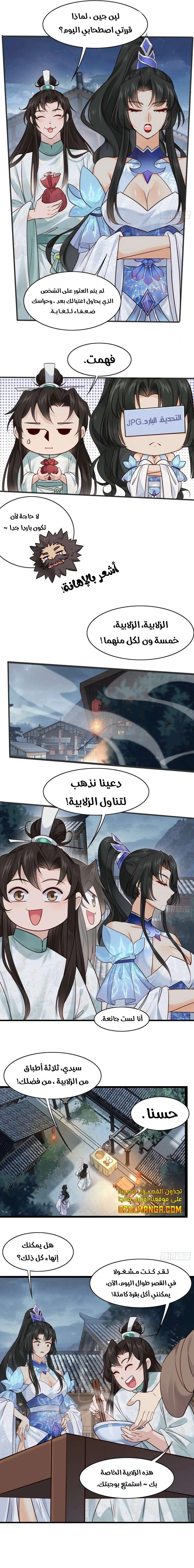 Chapter Image 5