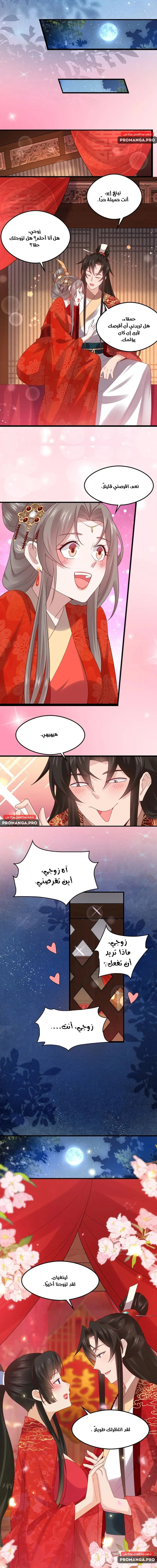 Chapter Image 3